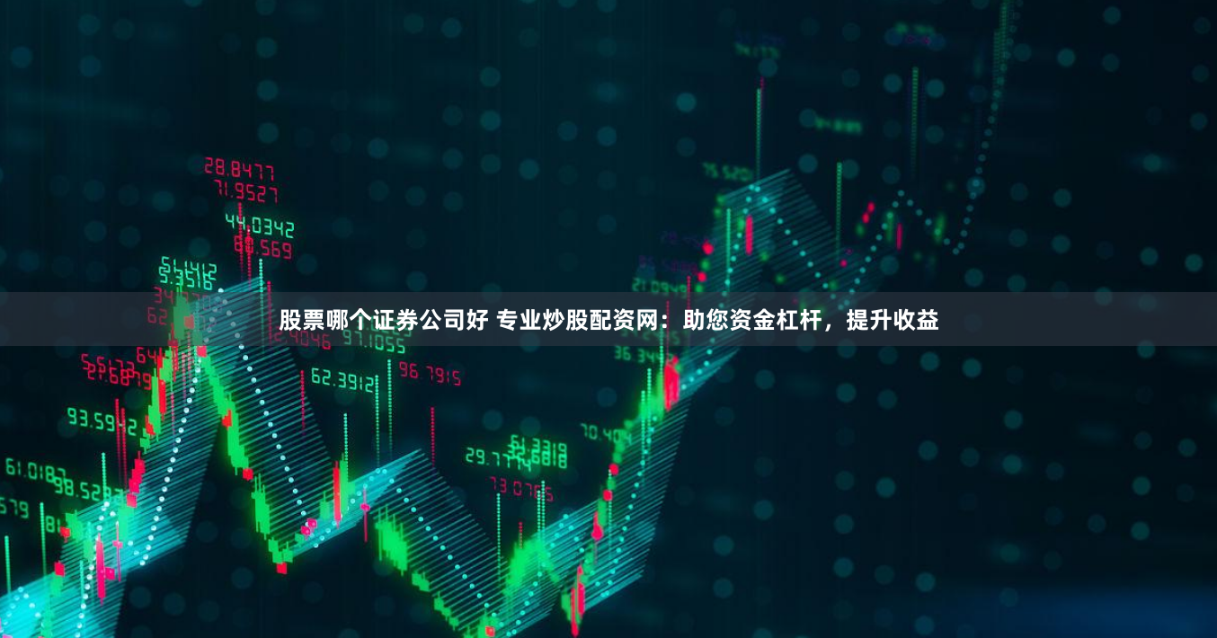 股票哪个证券公司好 专业炒股配资网：助您资金杠杆，提升收益