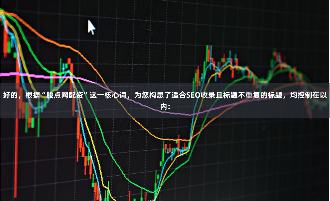 好的，根据“股点网配资”这一核心词，为您构思了适合SEO收录且标题不重复的标题，均控制在以内：
